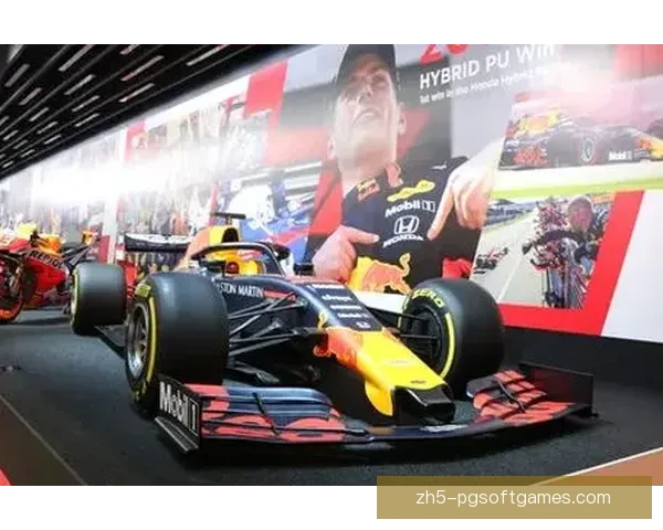 F1车手风采：追寻速度与梦想