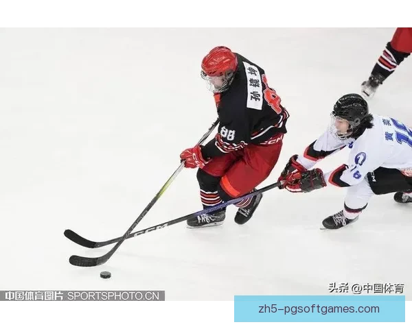 冰球排名解读：谁将成为下一个冠军？