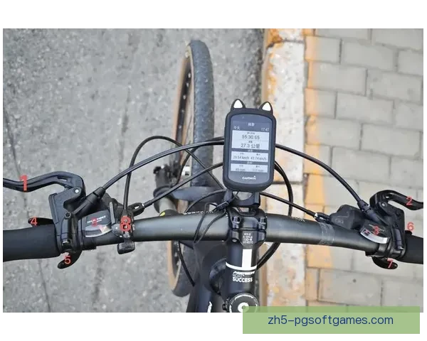 山地车骑行指南:轻松掌握技巧,享受自然风光 山地车骑行指南:轻松掌握技巧,享受自然风光