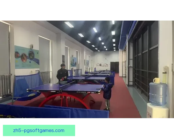 掌握乒乓技巧，轻松学习乒乓球教学视频