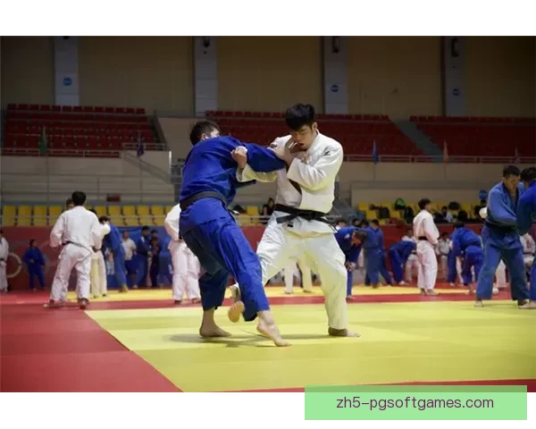 柔道赛事精彩回放，一觥再献