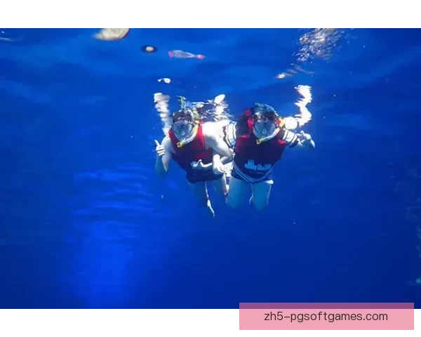 游泳入门:轻松掌握水性,享受畅快自由的水上乐趣 游泳入门:轻松掌握水性,享受畅快自由的水上乐趣