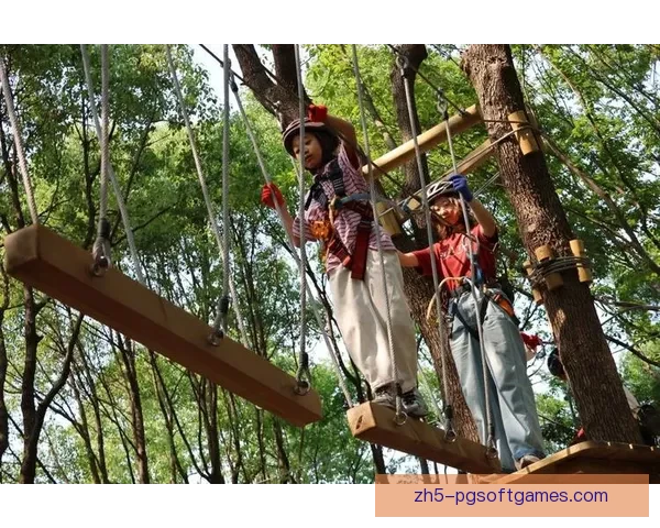 穿越林间踪,探寻极限狂欢 穿越林间踪,探寻极限狂欢