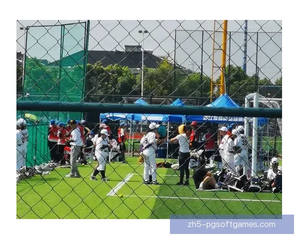 精彩对决！棒球巅峰之战如火如荼