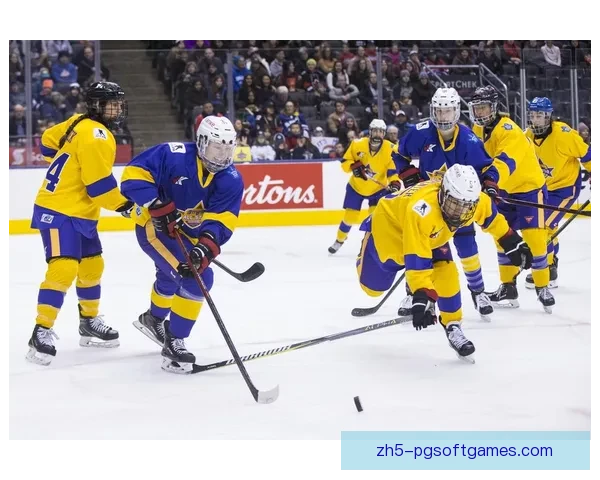 精彩冰球赛事：全明星赛和季后赛首轮即将展开